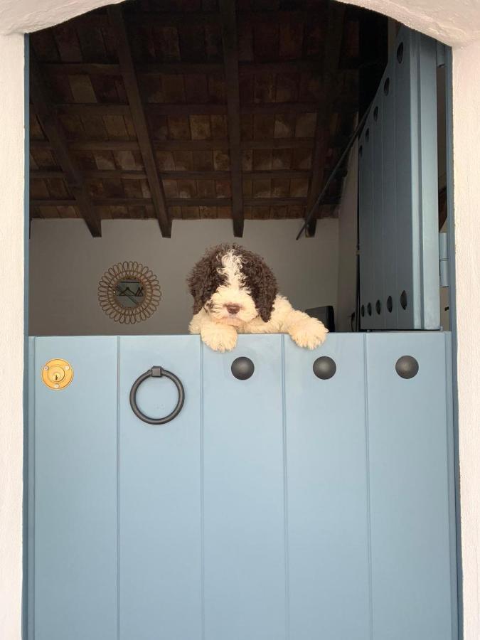 La Puerta Azul Villa Борнос Екстериор снимка