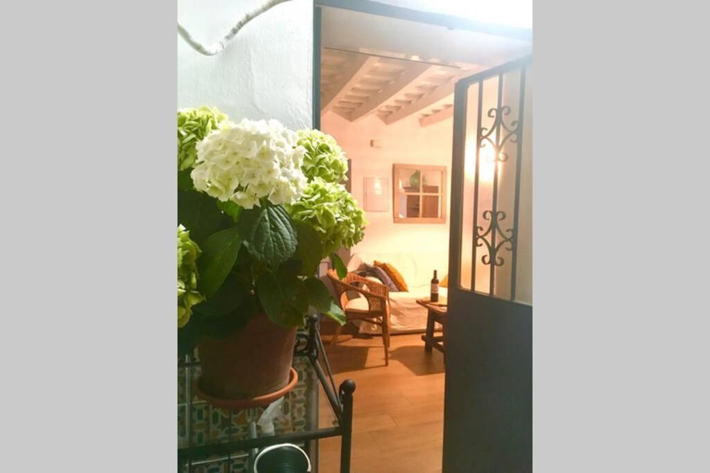 La Puerta Azul Villa Борнос Екстериор снимка