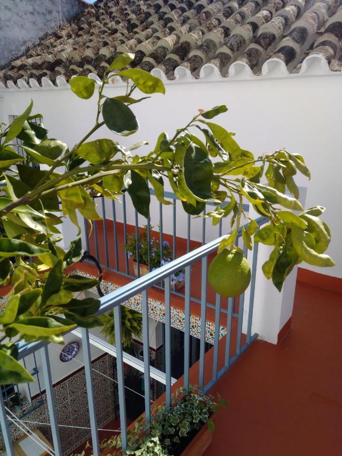 La Puerta Azul Villa Борнос Екстериор снимка